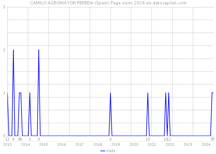 CAMILO AGROMAYOR PEREDA (Spain) Page visits 2024 