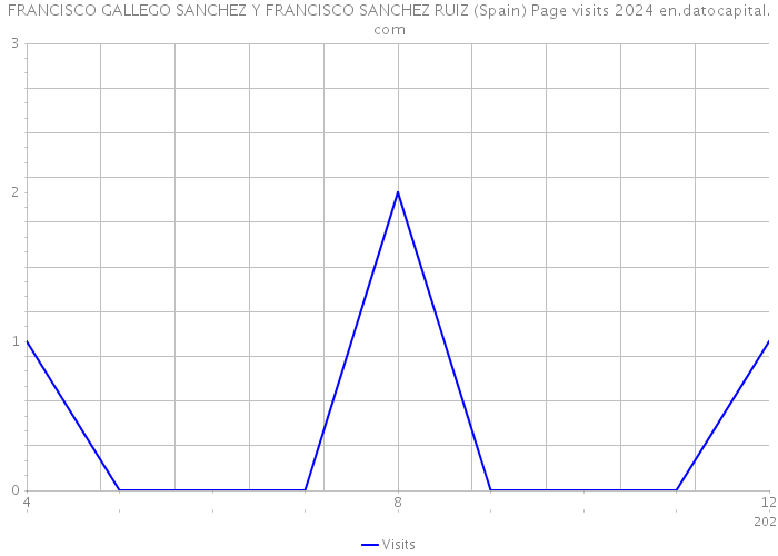 FRANCISCO GALLEGO SANCHEZ Y FRANCISCO SANCHEZ RUIZ (Spain) Page visits 2024 