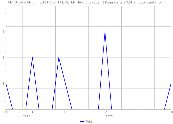 ANICURA CANIS I FELIS HOSPITAL VETERINARI S.L. (Spain) Page visits 2024 