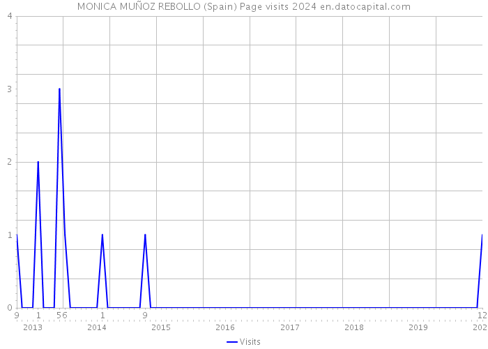 MONICA MUÑOZ REBOLLO (Spain) Page visits 2024 