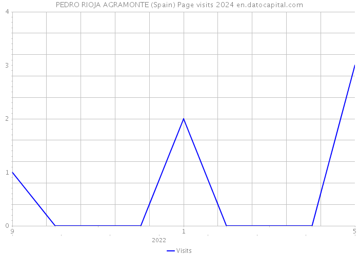 PEDRO RIOJA AGRAMONTE (Spain) Page visits 2024 