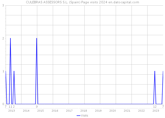 CULEBRAS ASSESSORS S.L. (Spain) Page visits 2024 