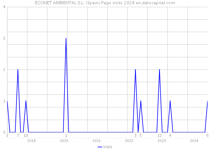 ECONET AMBIENTAL S.L. (Spain) Page visits 2024 