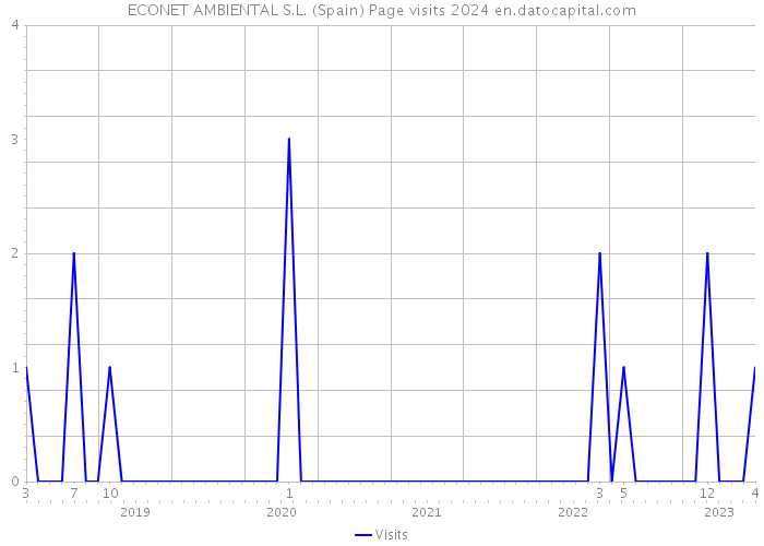 ECONET AMBIENTAL S.L. (Spain) Page visits 2024 