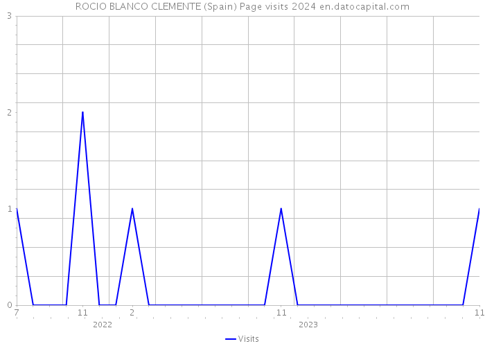 ROCIO BLANCO CLEMENTE (Spain) Page visits 2024 