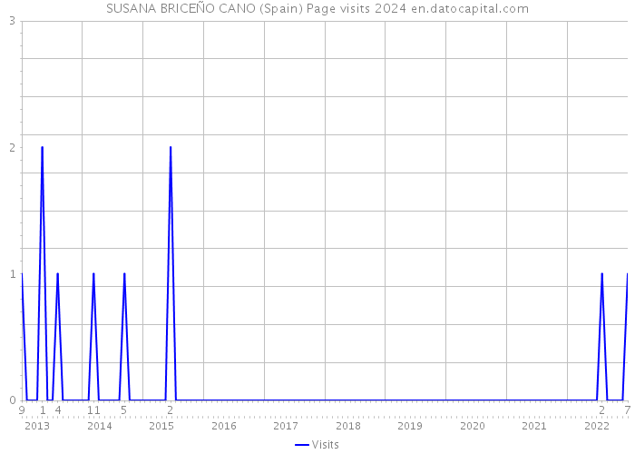 SUSANA BRICEÑO CANO (Spain) Page visits 2024 