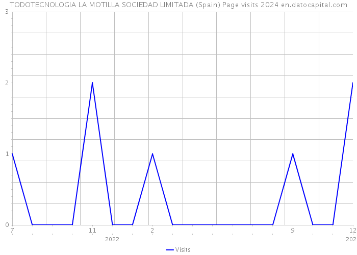 TODOTECNOLOGIA LA MOTILLA SOCIEDAD LIMITADA (Spain) Page visits 2024 