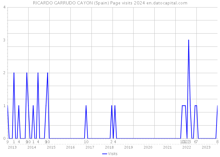 RICARDO GARRUDO CAYON (Spain) Page visits 2024 
