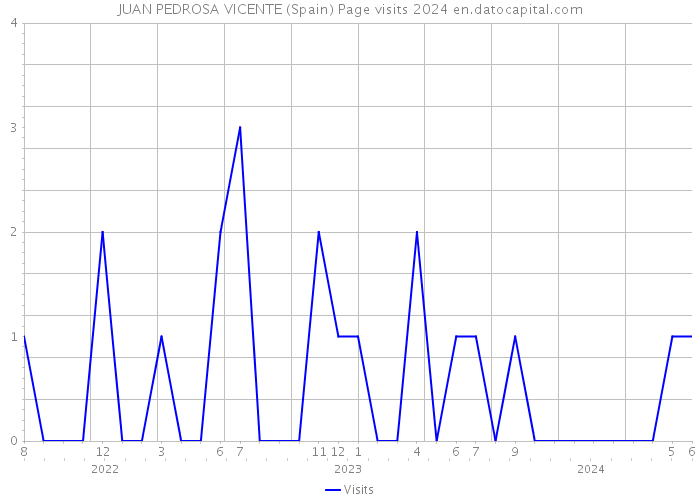 JUAN PEDROSA VICENTE (Spain) Page visits 2024 