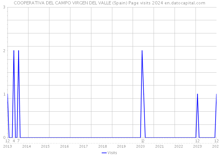 COOPERATIVA DEL CAMPO VIRGEN DEL VALLE (Spain) Page visits 2024 