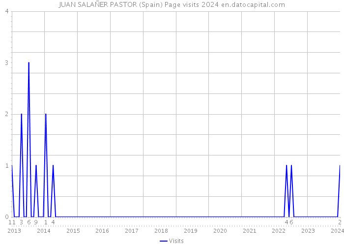 JUAN SALAÑER PASTOR (Spain) Page visits 2024 
