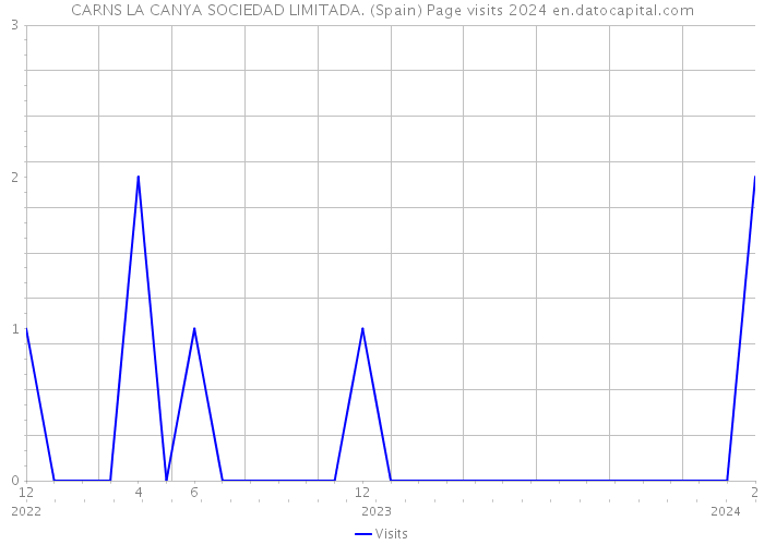 CARNS LA CANYA SOCIEDAD LIMITADA. (Spain) Page visits 2024 