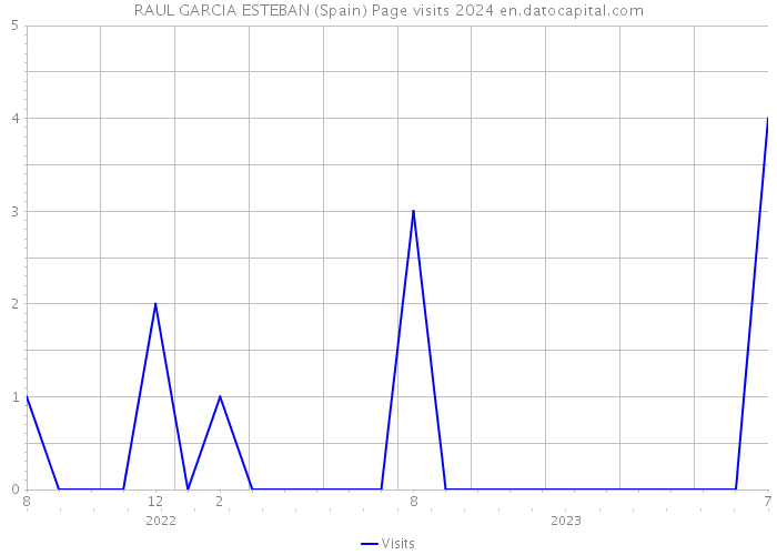 RAUL GARCIA ESTEBAN (Spain) Page visits 2024 