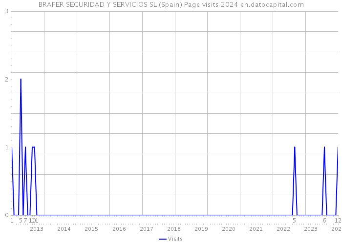 BRAFER SEGURIDAD Y SERVICIOS SL (Spain) Page visits 2024 