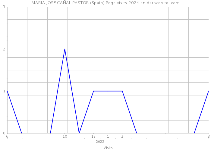 MARIA JOSE CAÑAL PASTOR (Spain) Page visits 2024 