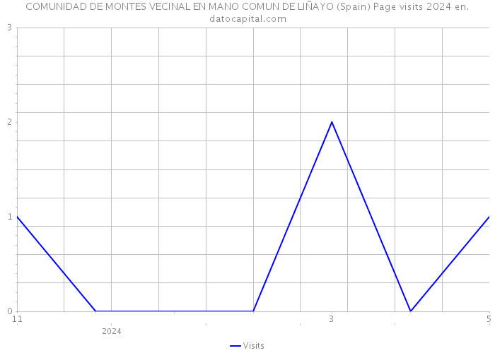 COMUNIDAD DE MONTES VECINAL EN MANO COMUN DE LIÑAYO (Spain) Page visits 2024 