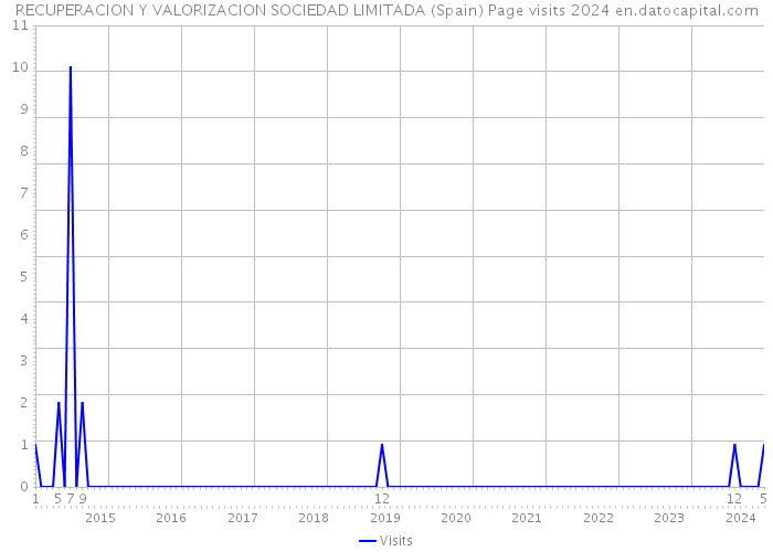 RECUPERACION Y VALORIZACION SOCIEDAD LIMITADA (Spain) Page visits 2024 