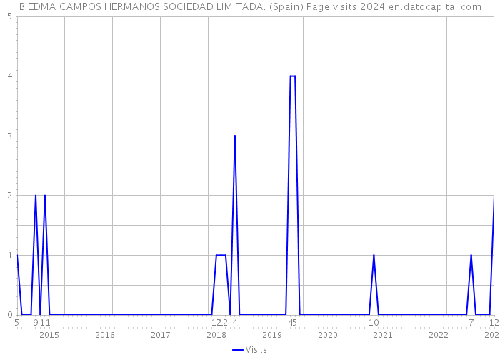 BIEDMA CAMPOS HERMANOS SOCIEDAD LIMITADA. (Spain) Page visits 2024 