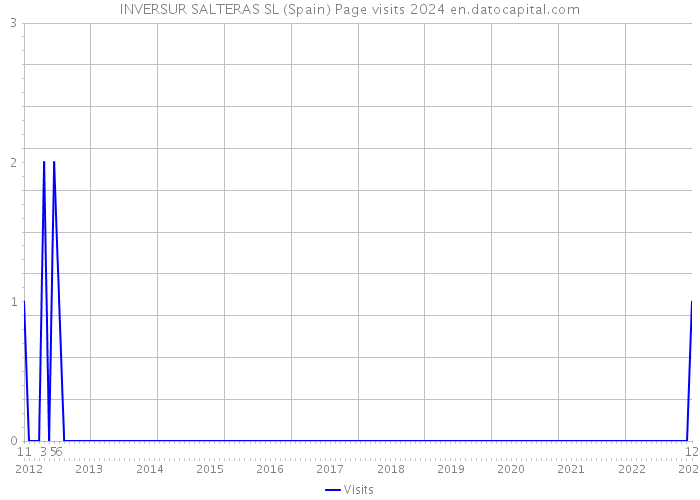 INVERSUR SALTERAS SL (Spain) Page visits 2024 