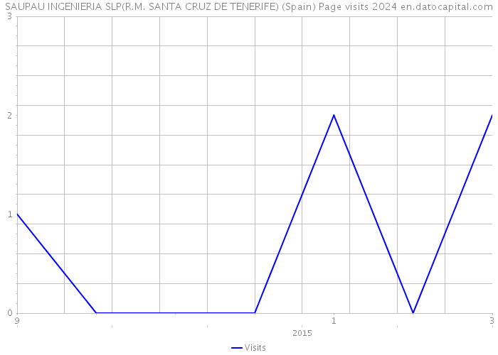 SAUPAU INGENIERIA SLP(R.M. SANTA CRUZ DE TENERIFE) (Spain) Page visits 2024 