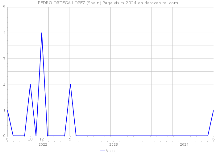 PEDRO ORTEGA LOPEZ (Spain) Page visits 2024 