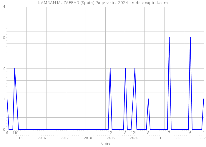 KAMRAN MUZAFFAR (Spain) Page visits 2024 