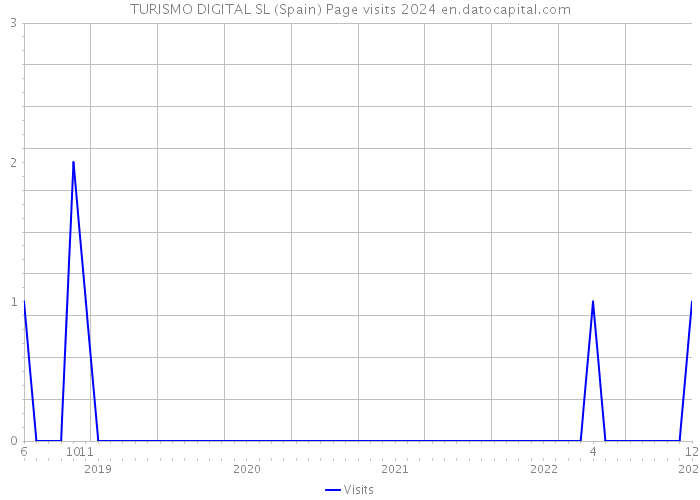 TURISMO DIGITAL SL (Spain) Page visits 2024 