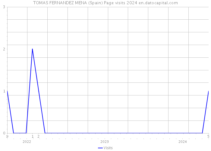 TOMAS FERNANDEZ MENA (Spain) Page visits 2024 