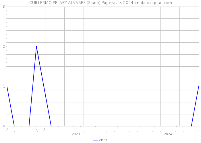 GUILLERMO PELAEZ ALVAREZ (Spain) Page visits 2024 