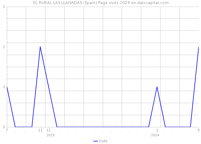 SC RURAL LAS LLANADAS (Spain) Page visits 2024 