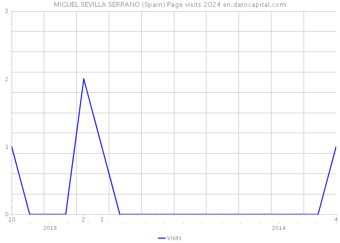 MIGUEL SEVILLA SERRANO (Spain) Page visits 2024 