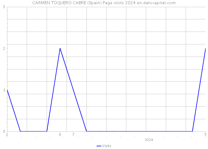 CARMEN TOQUERO CABRE (Spain) Page visits 2024 