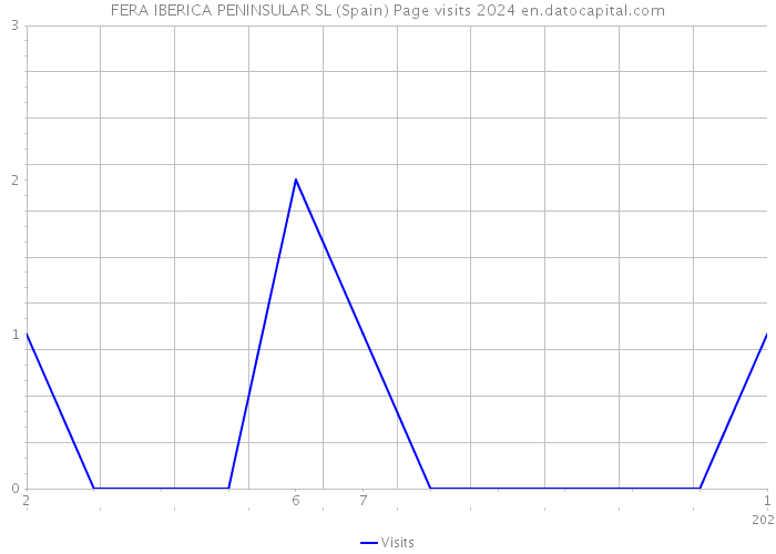 FERA IBERICA PENINSULAR SL (Spain) Page visits 2024 