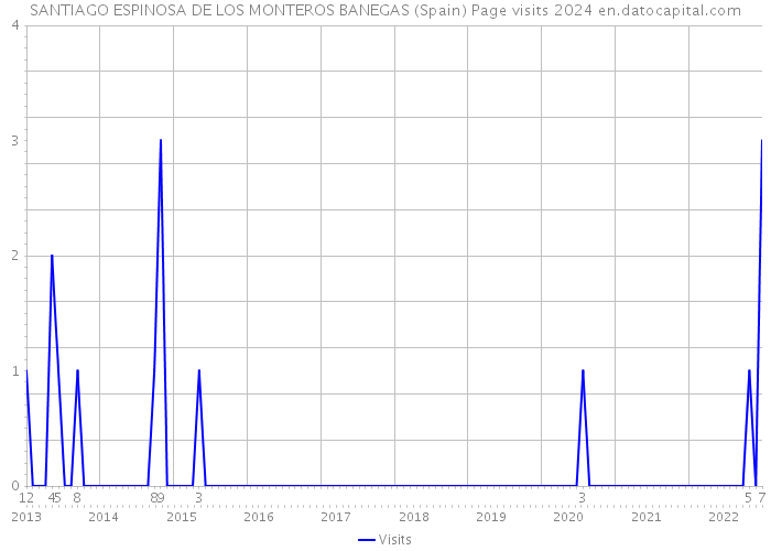 SANTIAGO ESPINOSA DE LOS MONTEROS BANEGAS (Spain) Page visits 2024 
