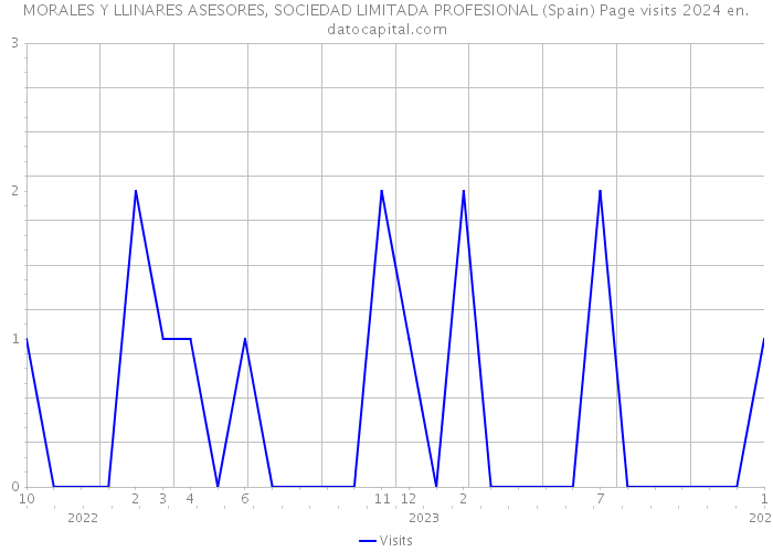 MORALES Y LLINARES ASESORES, SOCIEDAD LIMITADA PROFESIONAL (Spain) Page visits 2024 