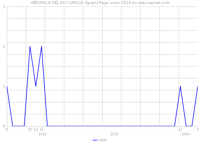 VERONICA DEL RIO GARCIA (Spain) Page visits 2024 