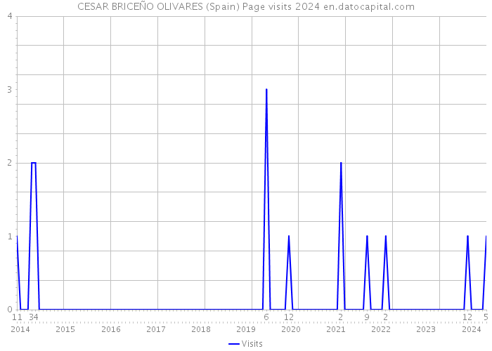 CESAR BRICEÑO OLIVARES (Spain) Page visits 2024 