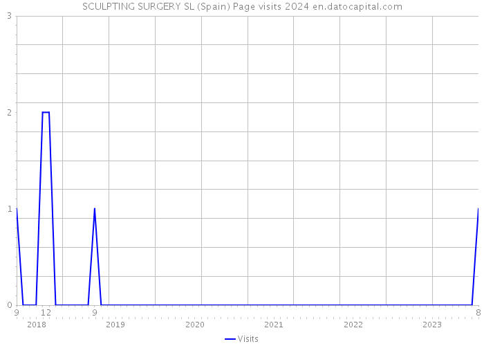 SCULPTING SURGERY SL (Spain) Page visits 2024 