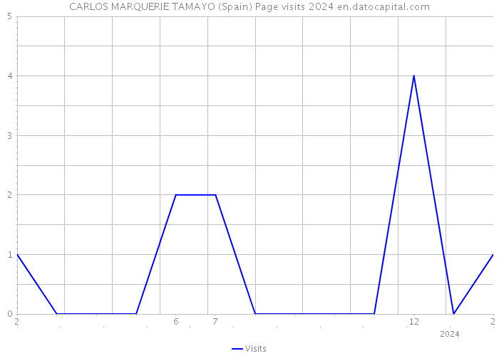CARLOS MARQUERIE TAMAYO (Spain) Page visits 2024 