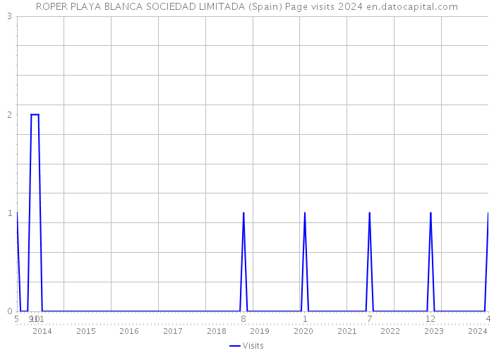 ROPER PLAYA BLANCA SOCIEDAD LIMITADA (Spain) Page visits 2024 