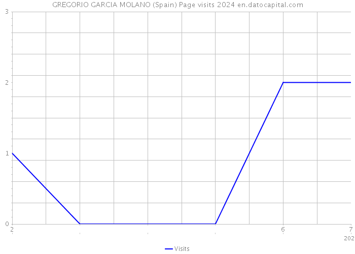 GREGORIO GARCIA MOLANO (Spain) Page visits 2024 