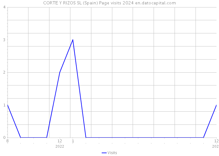 CORTE Y RIZOS SL (Spain) Page visits 2024 