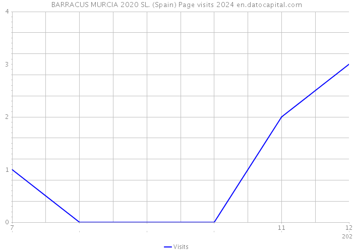 BARRACUS MURCIA 2020 SL. (Spain) Page visits 2024 