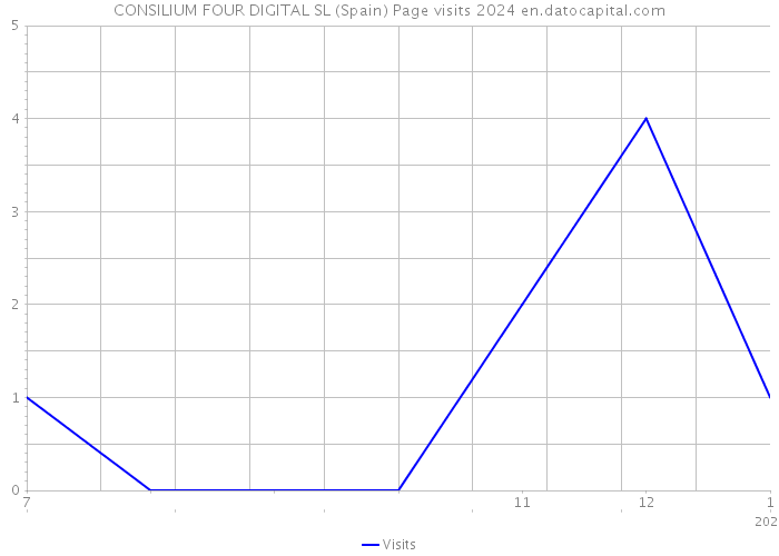 CONSILIUM FOUR DIGITAL SL (Spain) Page visits 2024 