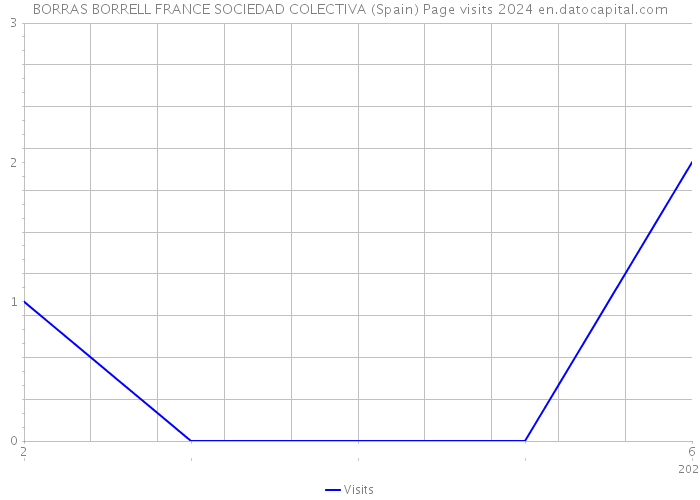 BORRAS BORRELL FRANCE SOCIEDAD COLECTIVA (Spain) Page visits 2024 