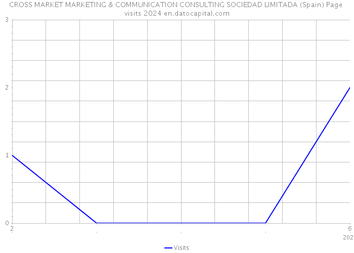 CROSS MARKET MARKETING & COMMUNICATION CONSULTING SOCIEDAD LIMITADA (Spain) Page visits 2024 