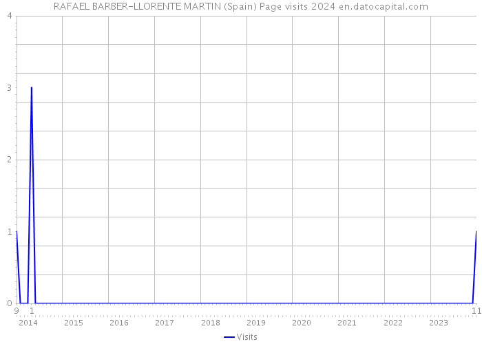 RAFAEL BARBER-LLORENTE MARTIN (Spain) Page visits 2024 