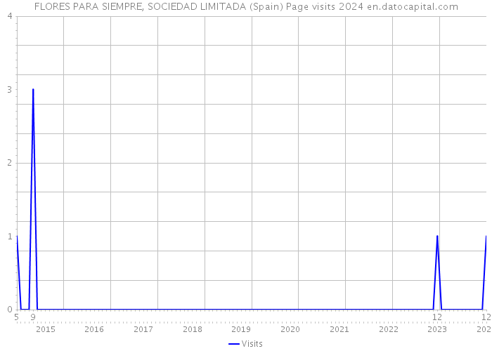 FLORES PARA SIEMPRE, SOCIEDAD LIMITADA (Spain) Page visits 2024 