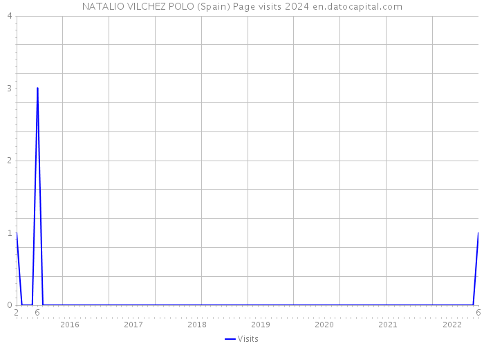 NATALIO VILCHEZ POLO (Spain) Page visits 2024 