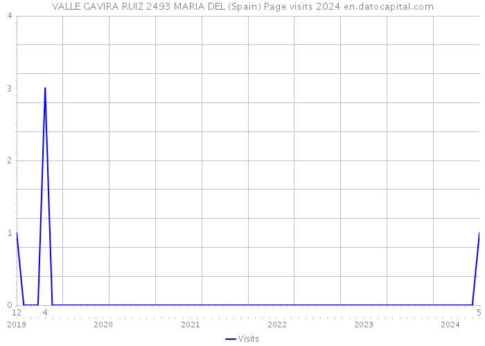 VALLE GAVIRA RUIZ 2493 MARIA DEL (Spain) Page visits 2024 
